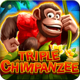 Triple-chimpanzee