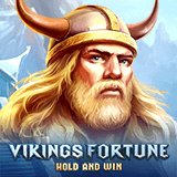 Vikings-fortune:-hold-and-win