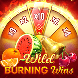 Wild-burning-wins:-5-lines