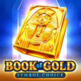 Book-of-gold:-symbol-choice