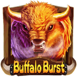 Buffalo-burst