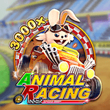 Animal-racing