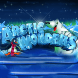 Arctic-wonders