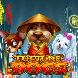 Fortune-dogs