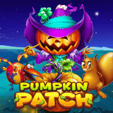 Pumpkin-patch