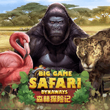 Big-game-safari