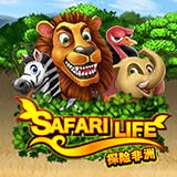 Safari-life