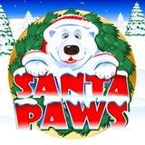 Santa-paws