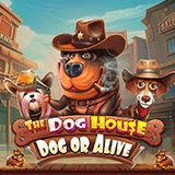 The-dog-house-–-dog-or-alive