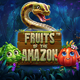 Fruits-of-the-amazon