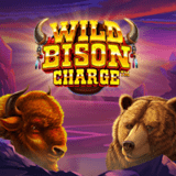 Wild-bison-charge