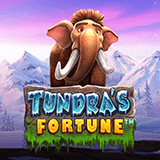 Tundra’s-fortune