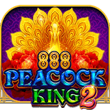 Peacock-king-2
