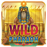 Wild-pharaoh