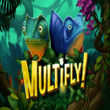 Multifly!™