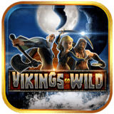 Vikings-go-wild